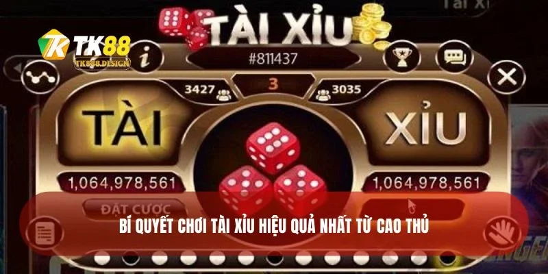 Bí quyết chơi tài xỉu hiệu quả nhất từ cao thủ 